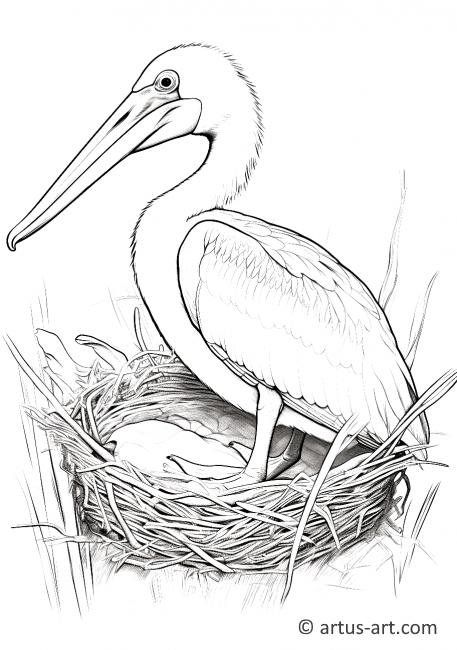 Pagina de colorat cu un pelicani în cuib